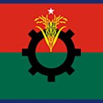 বিএনপির বিদ্রোহী প্রার্থীদের চ্যালেঞ্জে ২৮ আসনে পরাজিত ধানের শীষ