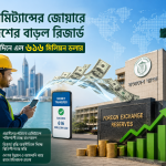 রেমিট্যান্সের জোয়ারে দেশের বাড়ল রিজার্ভ; ৫ দিনে এল ৬১৬ মিলিয়ন ডলার
