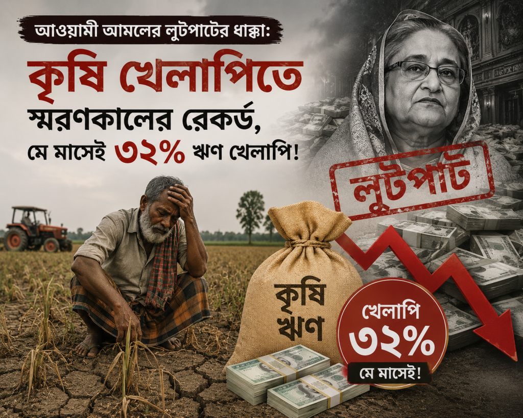 আওয়ামী আমলের লুটপাটের ধাক্কা: কৃষি খেলাপিতে স্মরণকালের রেকর্ড, মে মাসেই ৩২% ঋণ খেলাপি!